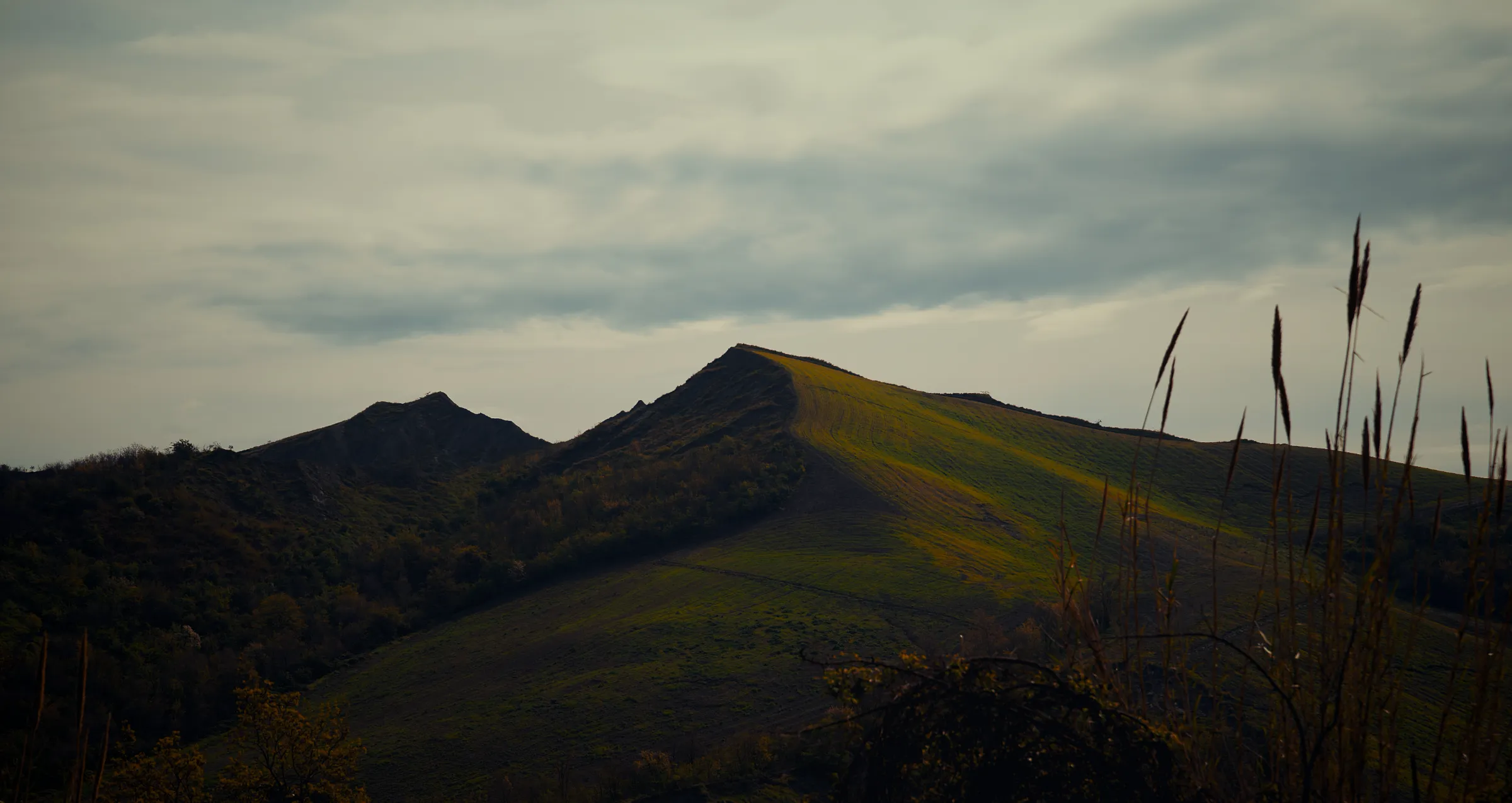 Parkowanie na dziko — co naprawdę ci grozi